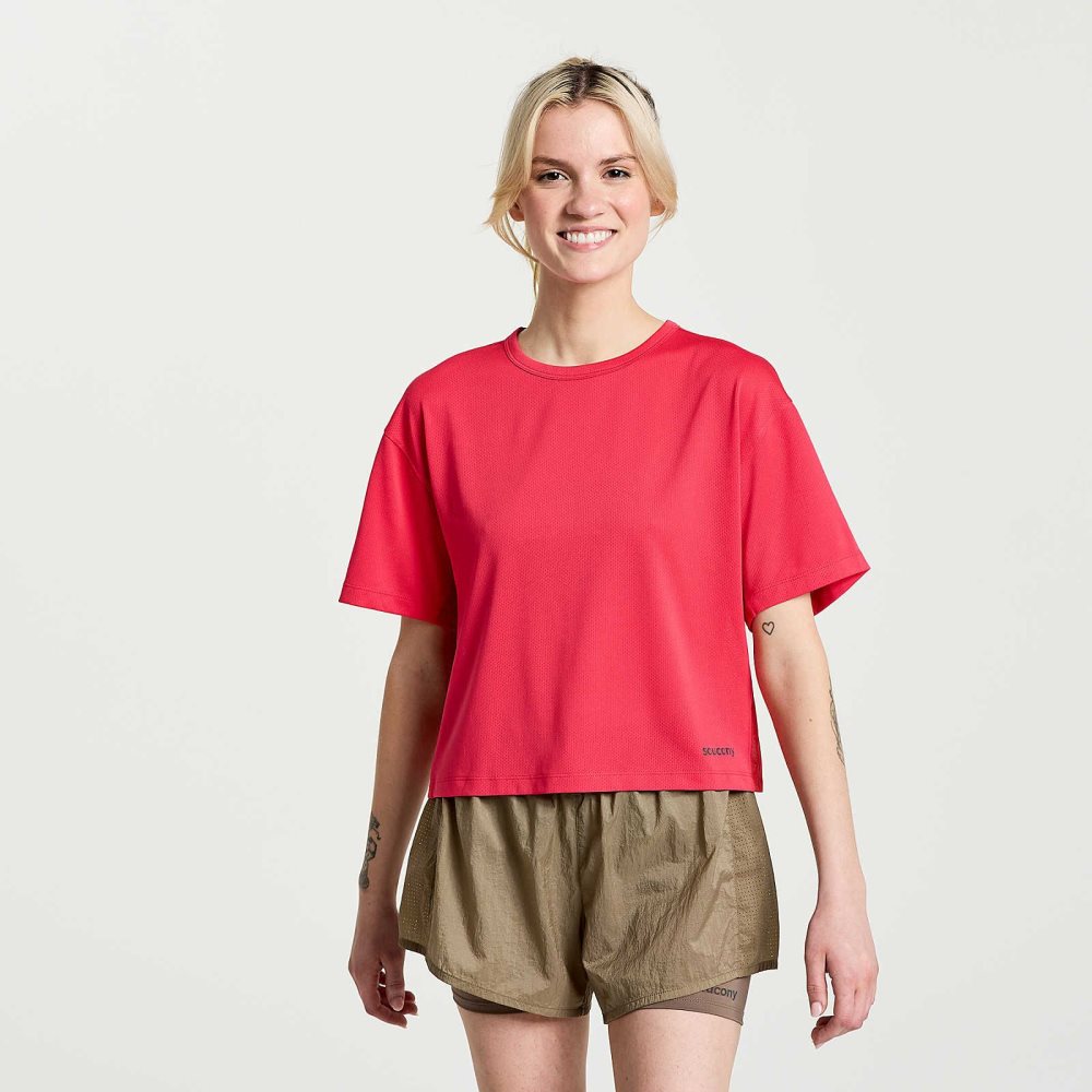 Saucony Elevate Short Sleeve Rose | 12654-FEHU