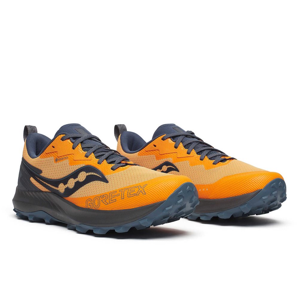 Saucony Peregrine 14 GTX Grise | 47098-JTWE