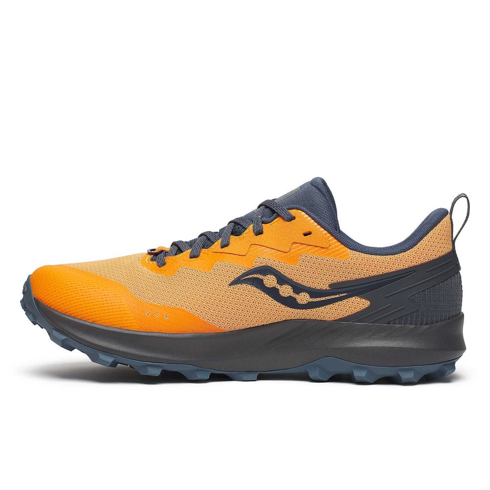 Saucony Peregrine 14 GTX Grise | 47098-JTWE