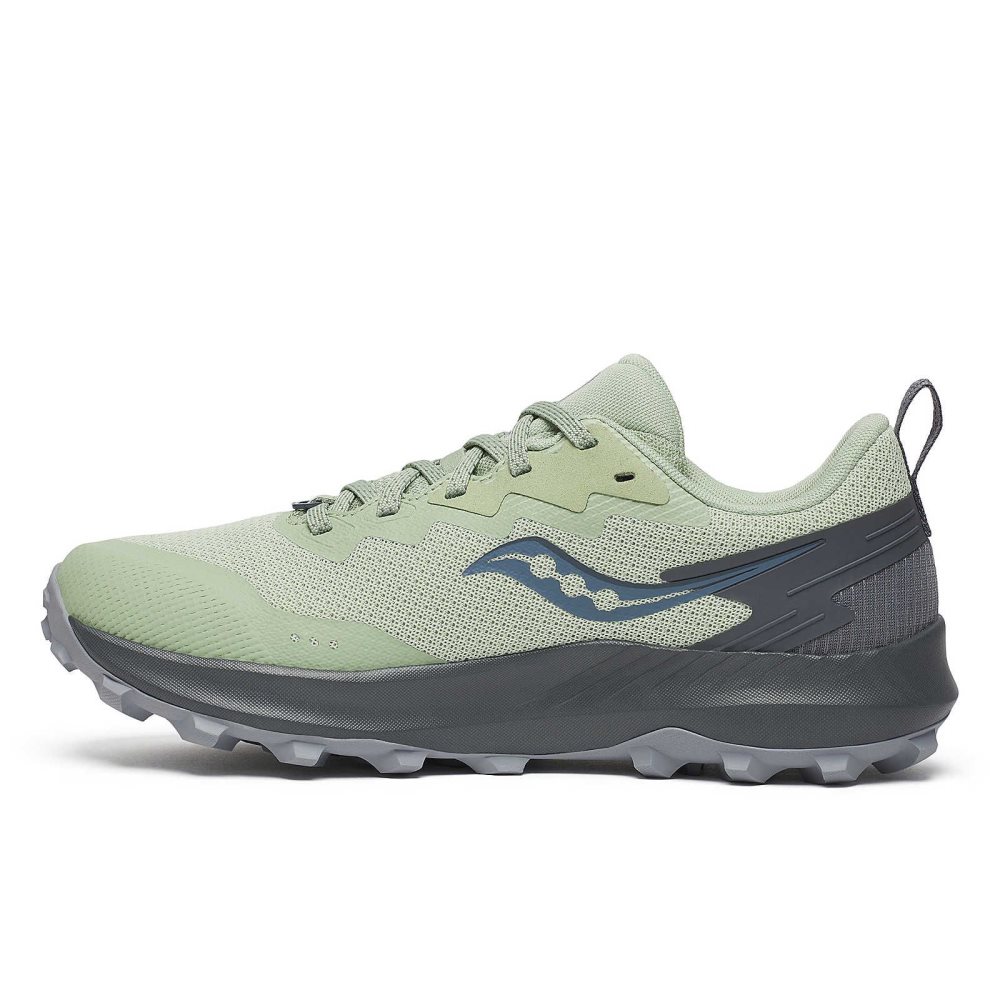 Saucony Peregrine 14 GTX Vert Olive Grise Foncé | 81943-IDAB