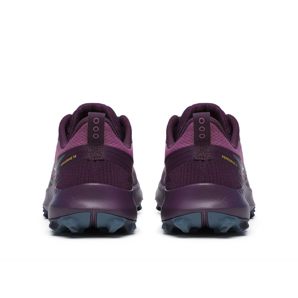 Saucony Peregrine 14 Violette | 92714-UPBF