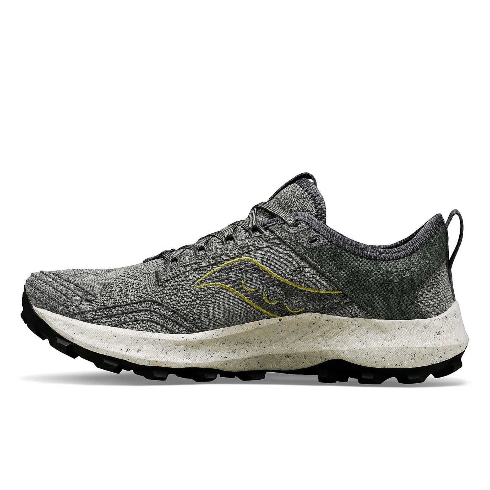 Saucony Peregrine RFG Grise | 06153-ZJRU