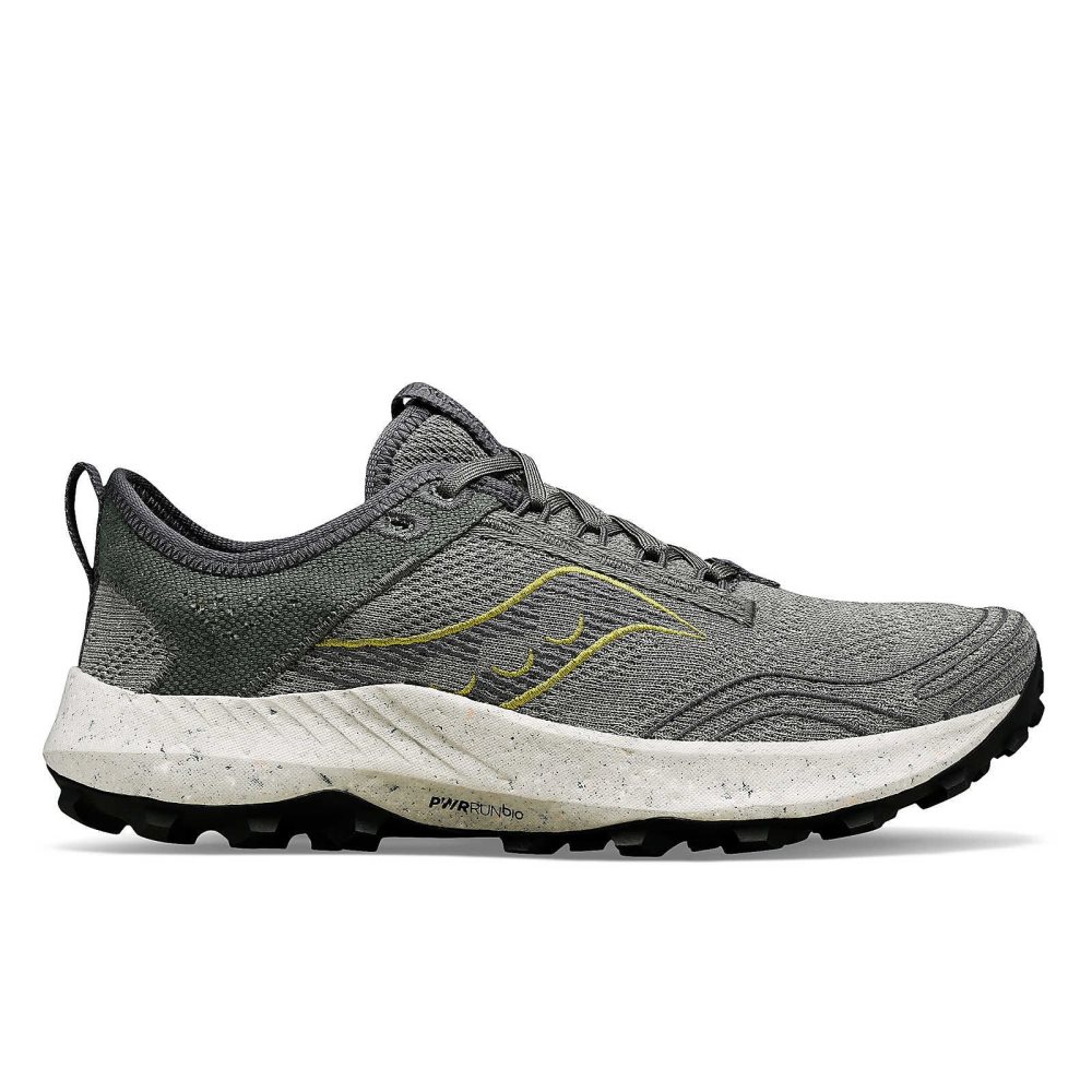 Saucony Peregrine RFG Grise | 06153-ZJRU