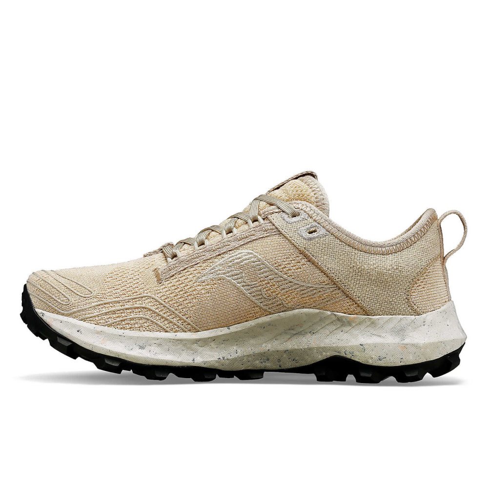 Saucony Peregrine RFG Grise | 28036-NPHC