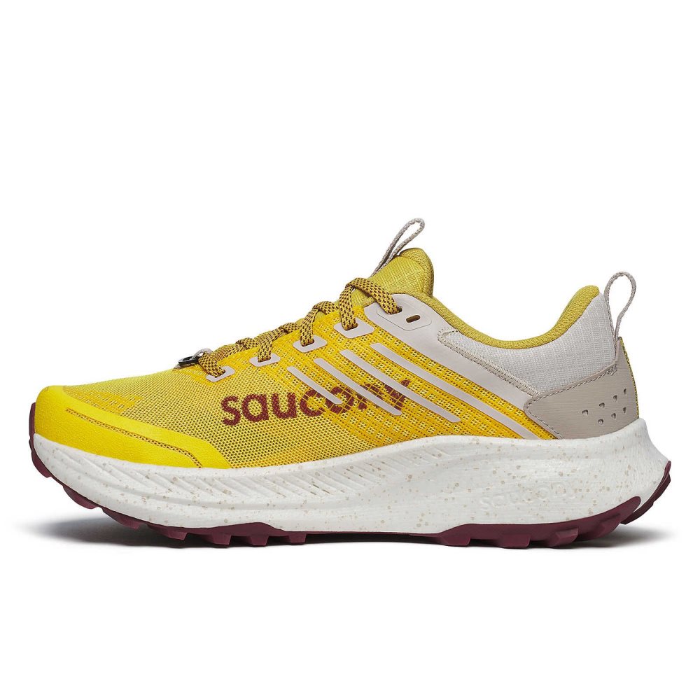 Saucony Ride TR2 Oak Currant | 62803-ALBG