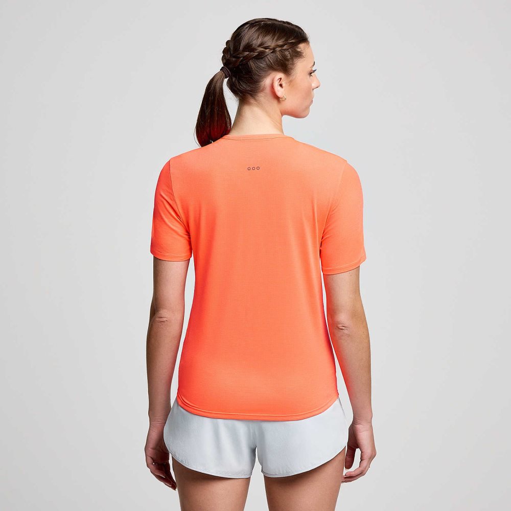 Saucony Stopwatch Short Sleeve ViZiRed | 01394-IWHS